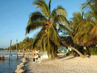 صور Florida Keys جزيرة